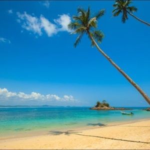 Meet your Posher, Ana